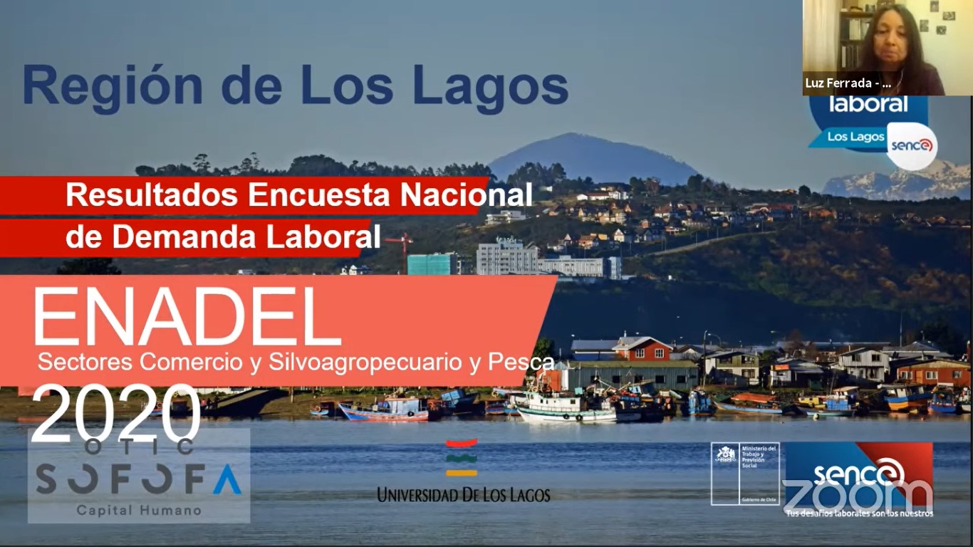 Observatorio Laboral de Sence que ejecuta la ULagos entregó resultados de la ENADEL