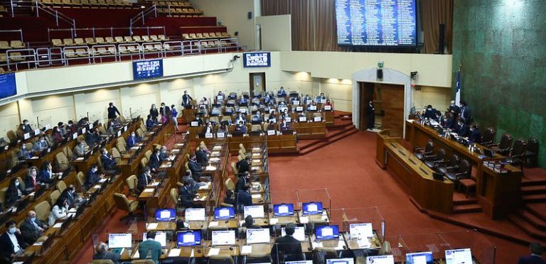 Académicos ULagos participan en Mesa Técnica de Salud de la Cámara de Diputadas/os