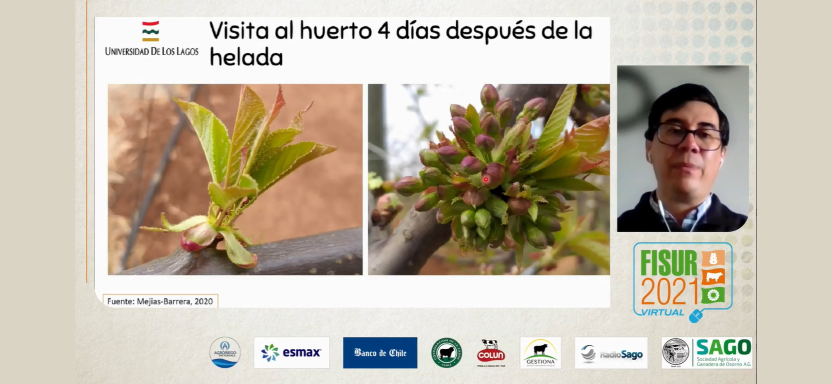 Académico presentó estudio sobre cómo afectan las heladas a los cerezos en el sur de Chile