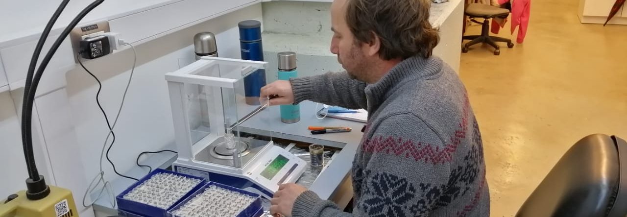 Ostras en Chiloé acusan efectos por pesticidas presentes en ecosistemas marinos