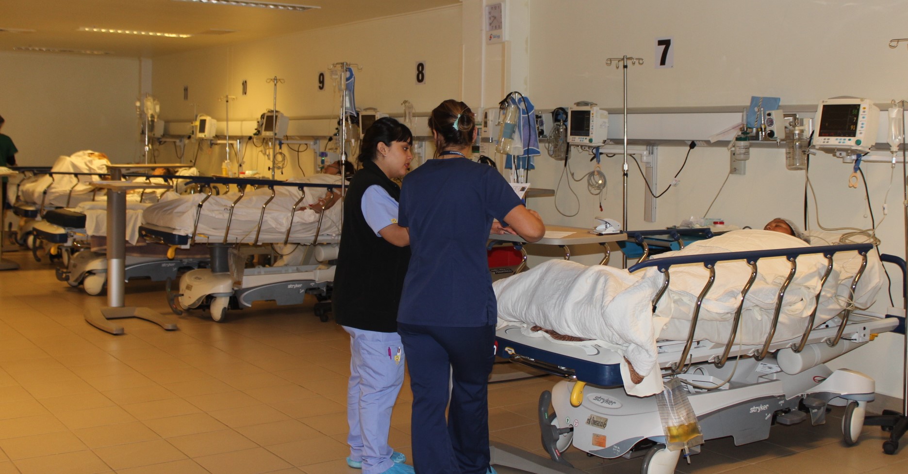 ULagos y Servicio de Salud Chiloé firman convenio de colaboración