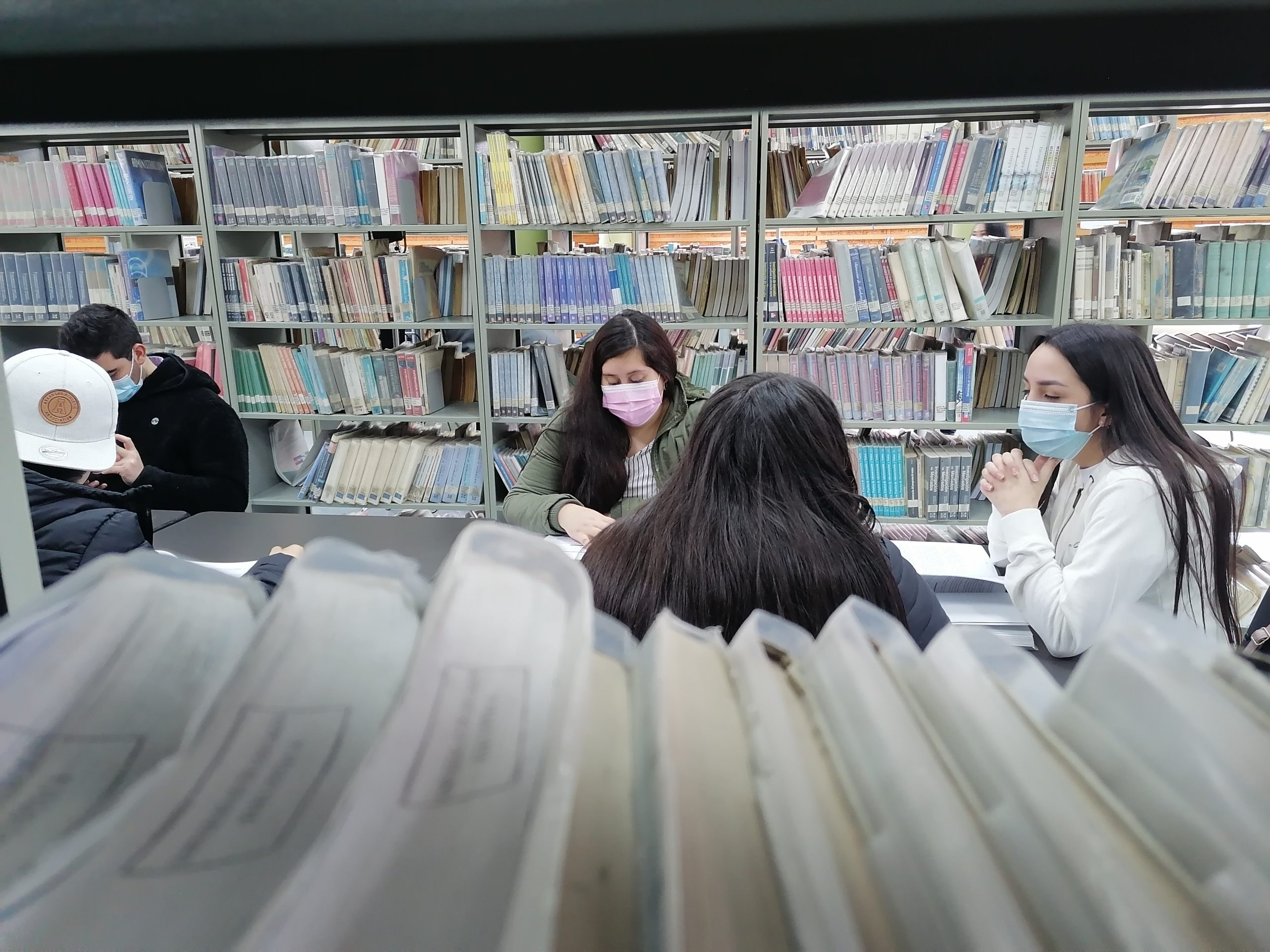 Biblioteca ULagos inicia servicios de atención presencial