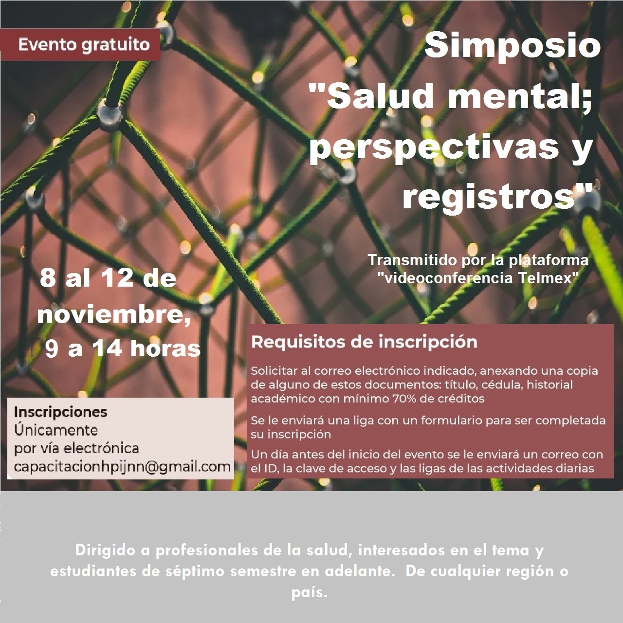 Académico ULagos expone en importante Simposio Internacional sobre Salud Mental