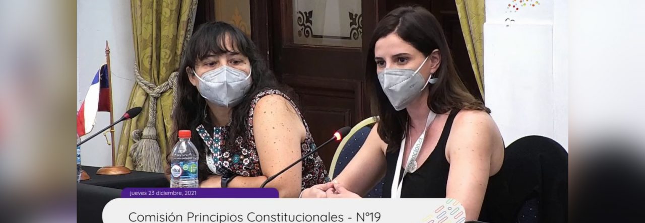 Académicas presentan propuestas a Convención Constitucional para beneficiar a ciudadanos/as rurales
