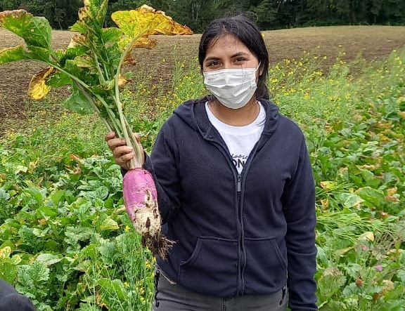 Estudiantes de Agronomía realizaron su primera práctica en terreno
