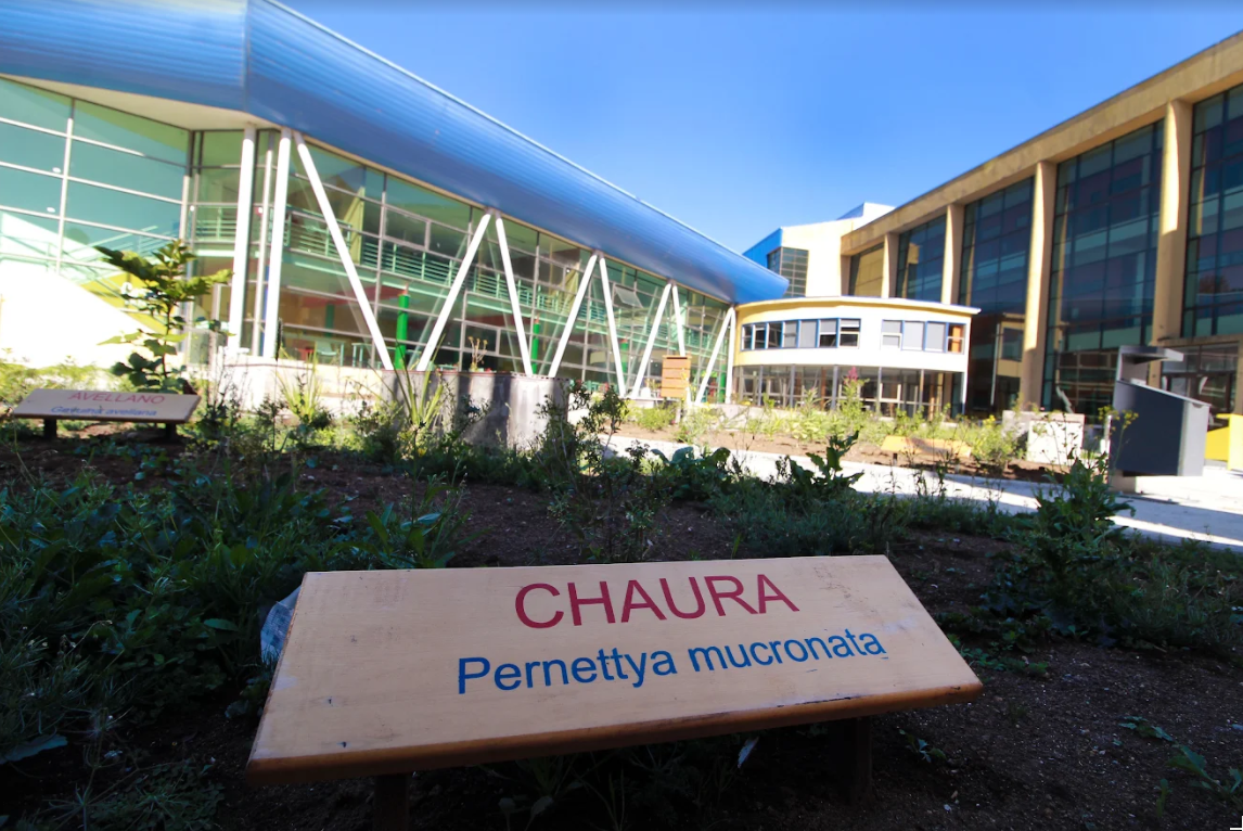 Plaza Norte en Chinquihue lista para recibir a estudiantes en marzo