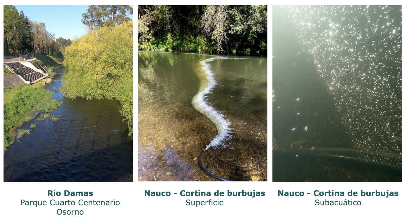 Cómo se hace el plástico de burbujas y cuál es su origen