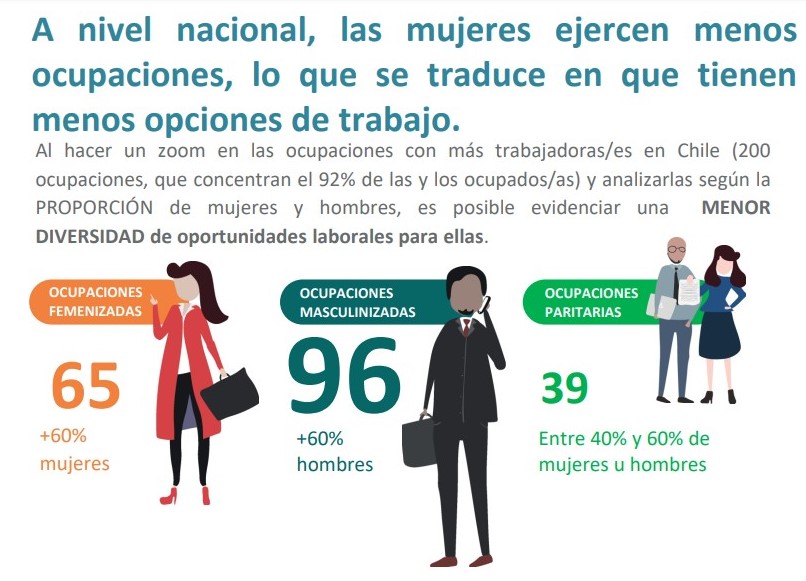 8M: Brechas de género y ocupaciones en la Región de Los Lagos