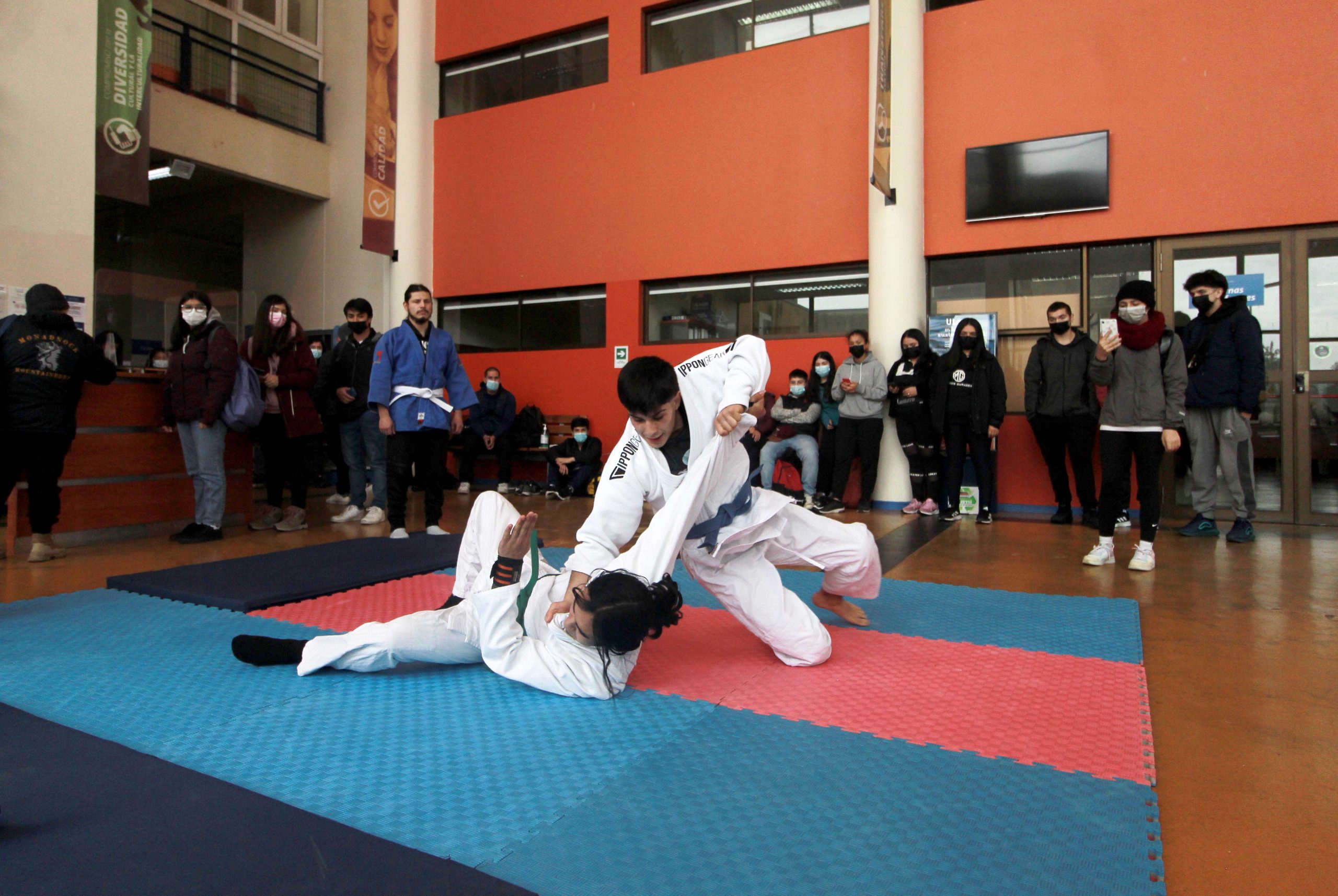 Estudiantes de Pedagogía en Educación Física celebran Día Mundial de la Actividad Física