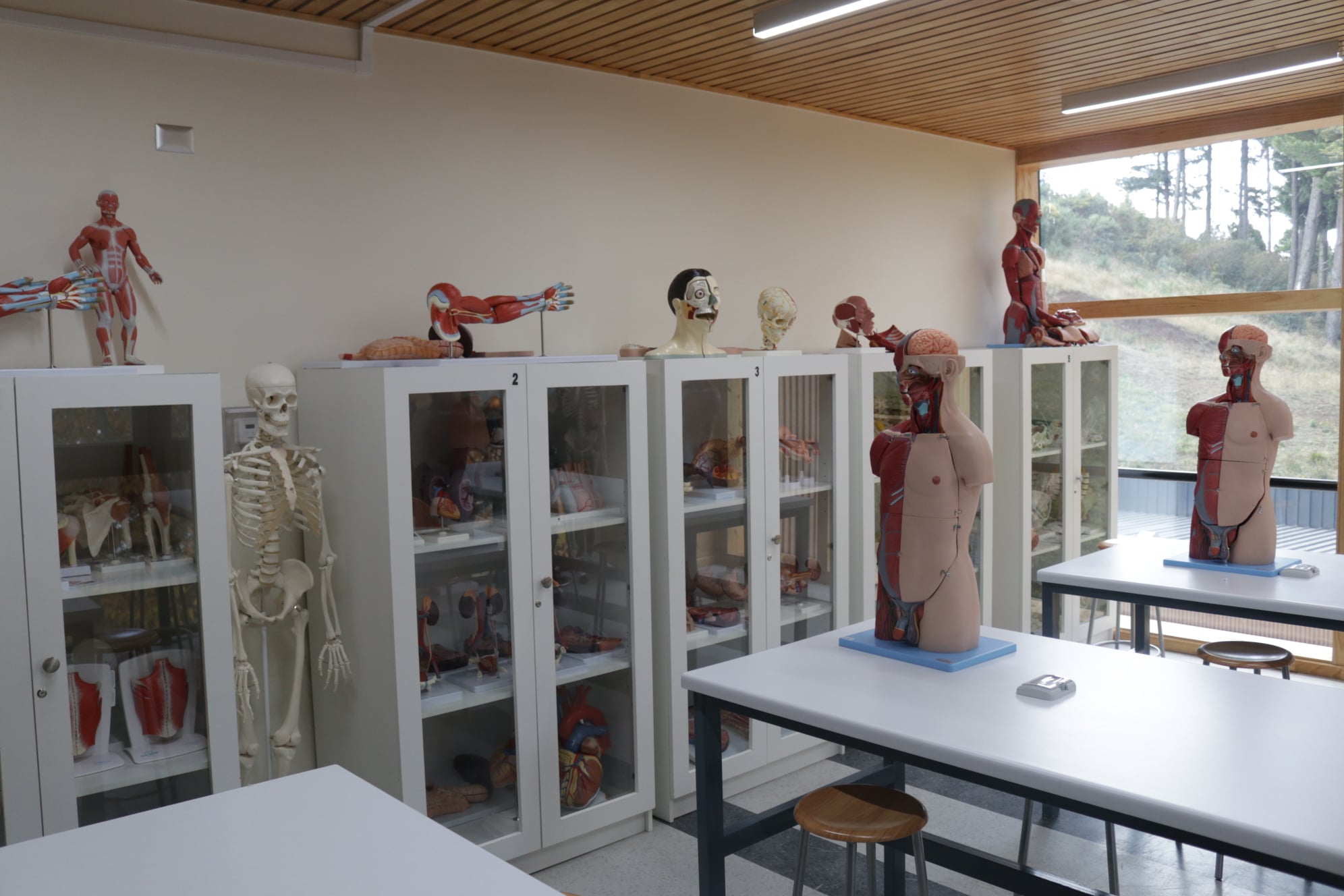 Entregan moderno laboratorio de Anatomía en ULagos Chiloé