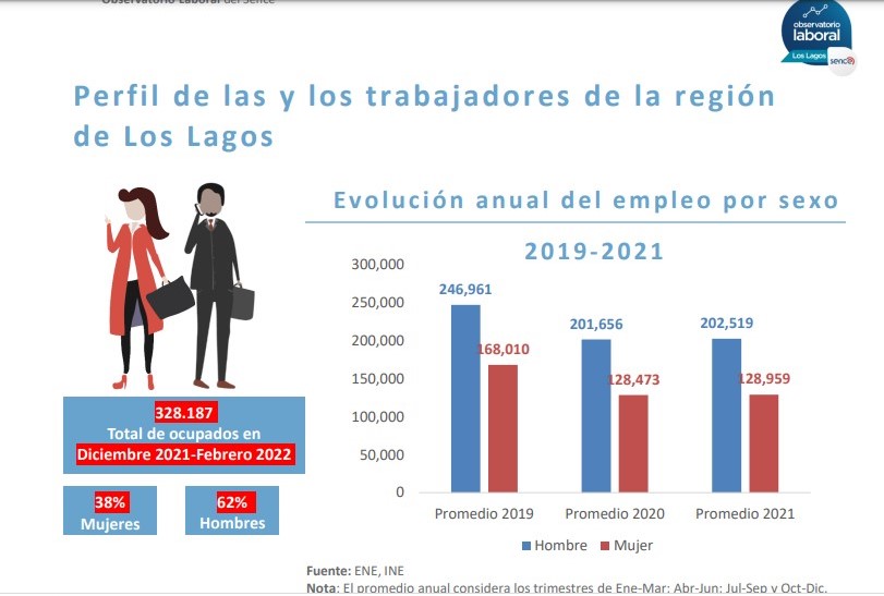 Perfil de los trabajadores y trabajadoras de la Región de Los Lagos