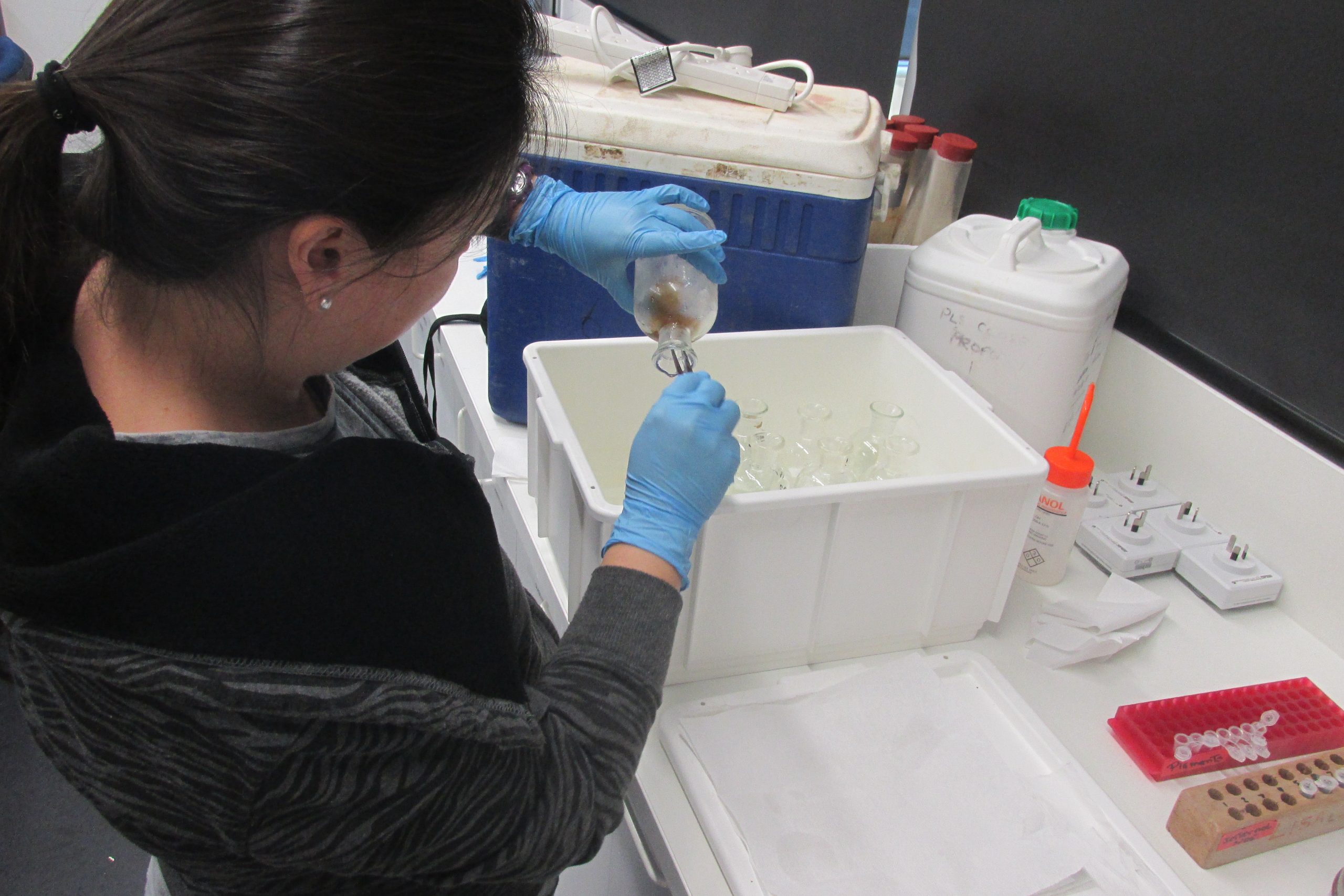 Academia Chilena de Ciencia reconoce el trabajo de investigadora ULagos