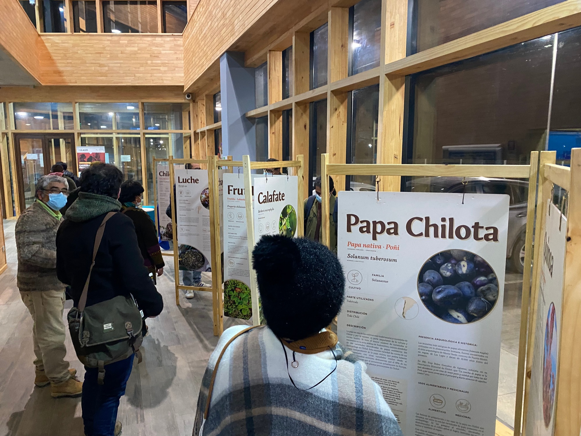 Exposición de Alimentos Prehispánicos y conversatorio sobre soberanía alimentaria