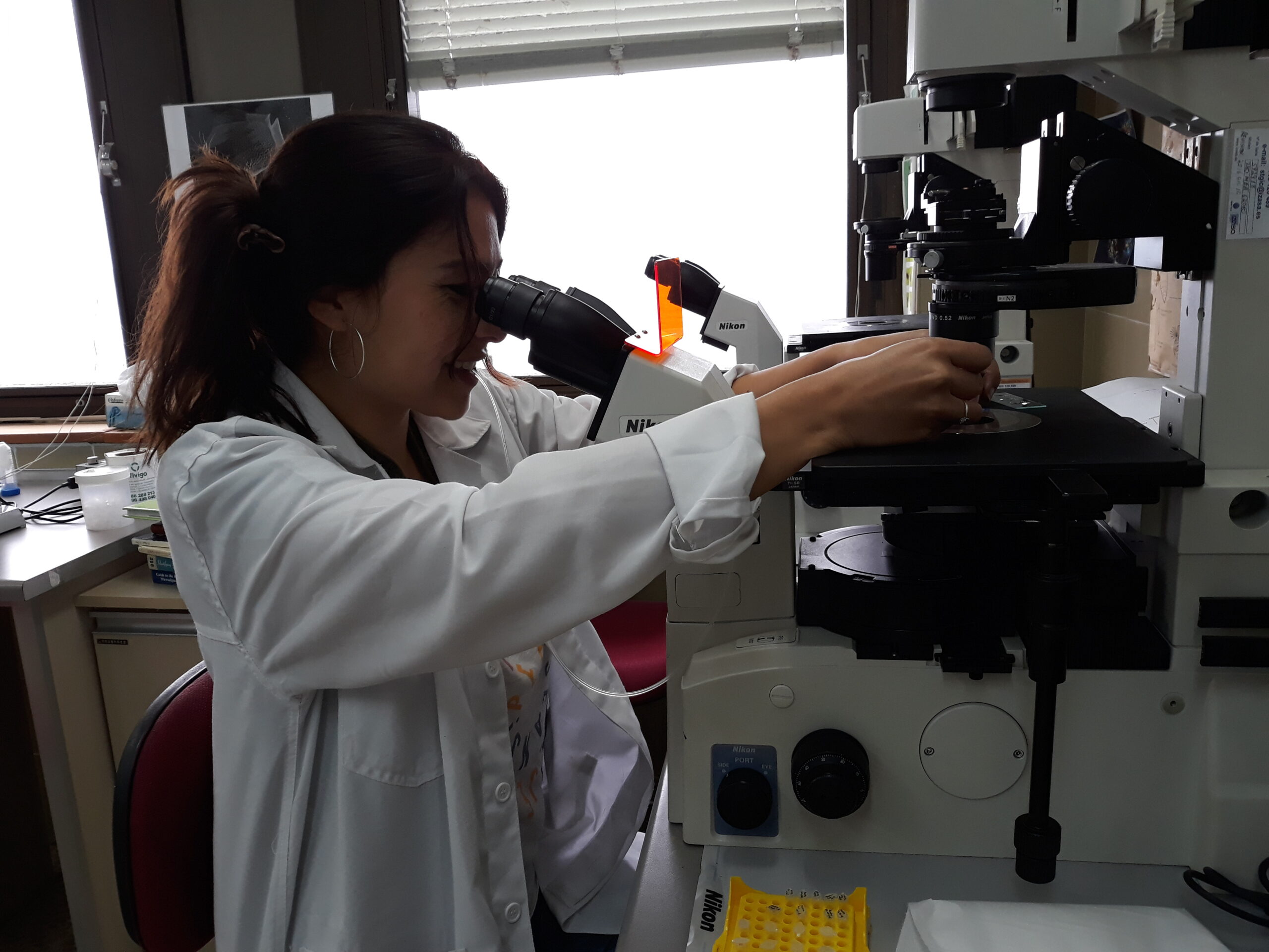 Tesis doctoral ULagos aporta al conocimiento sobre Floraciones Algales Nocivas