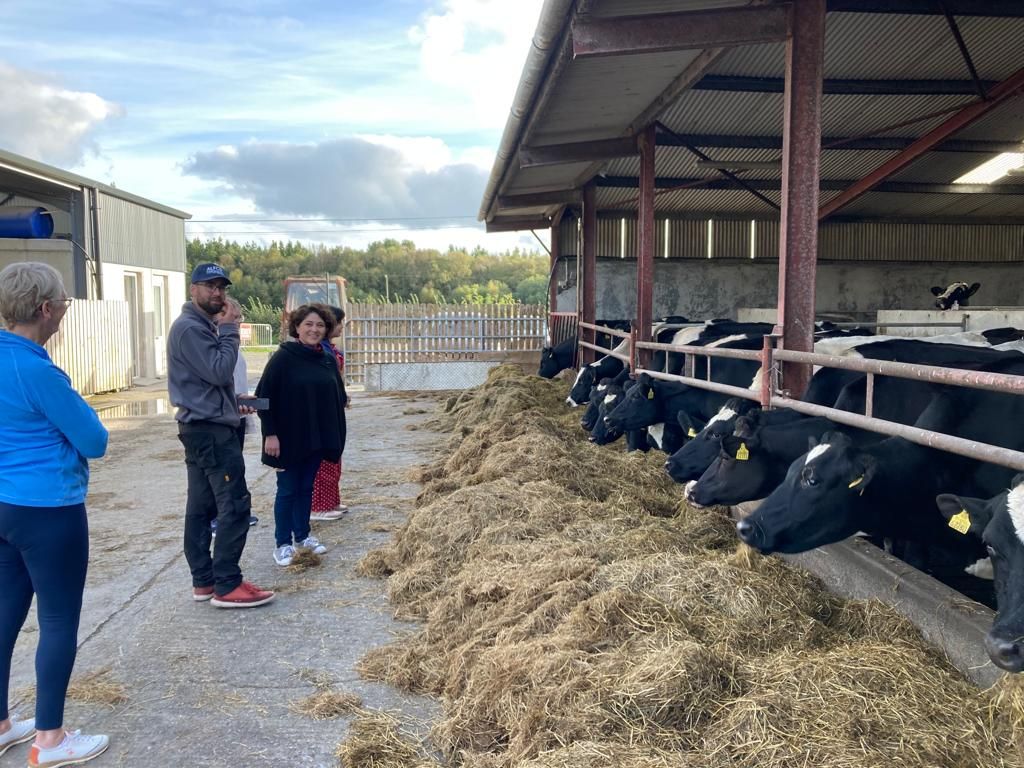 ULagos expone en Irlanda innovador proyecto de reducción de emisiones contaminantes en lecherías