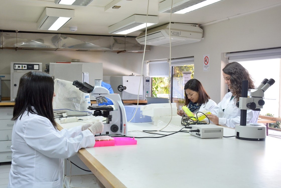 Concluye la Visita de Evaluadores Externos del Doctorado en Ciencias                         mención Conservación y Manejo de Recursos Naturales