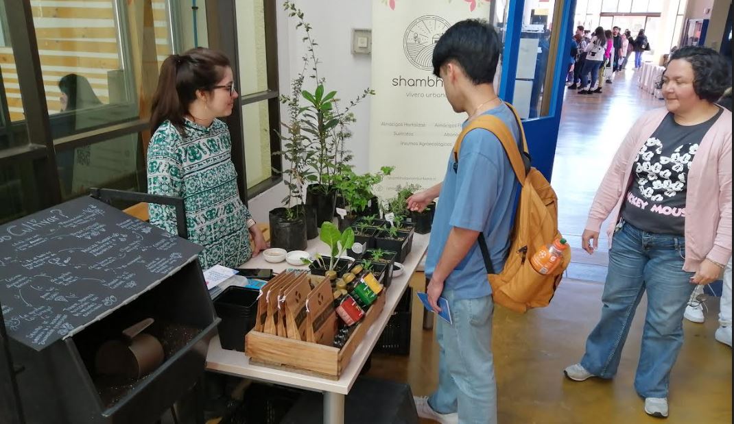 Mercadito ULagos cerró Semana de la Sustentabilidad