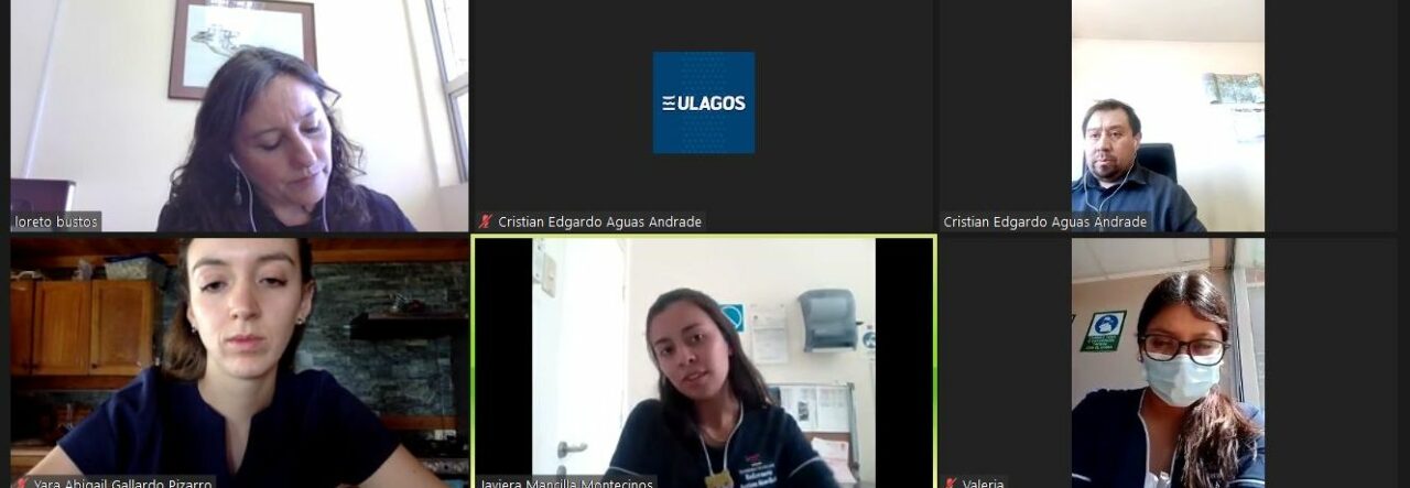 Estudiantes ULagos viven la exitosa experiencia de Movilidad Nacional