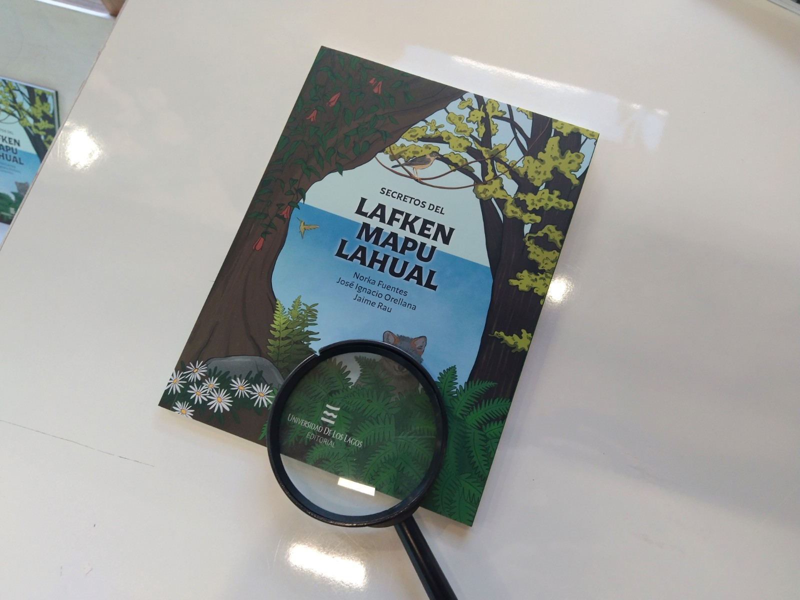 Con participación de investigadora y libro ilustrado, ULagos es parte de la IV Feria de Ciencias, Artes y Tecnología 