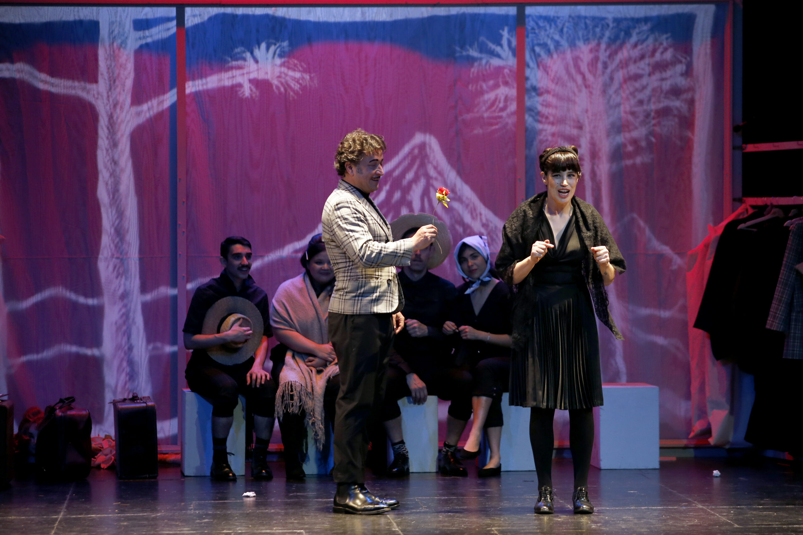 Teatro Nacional Chileno ofrecerá funciones en las cuatro provincias de la Región de Los Lagos