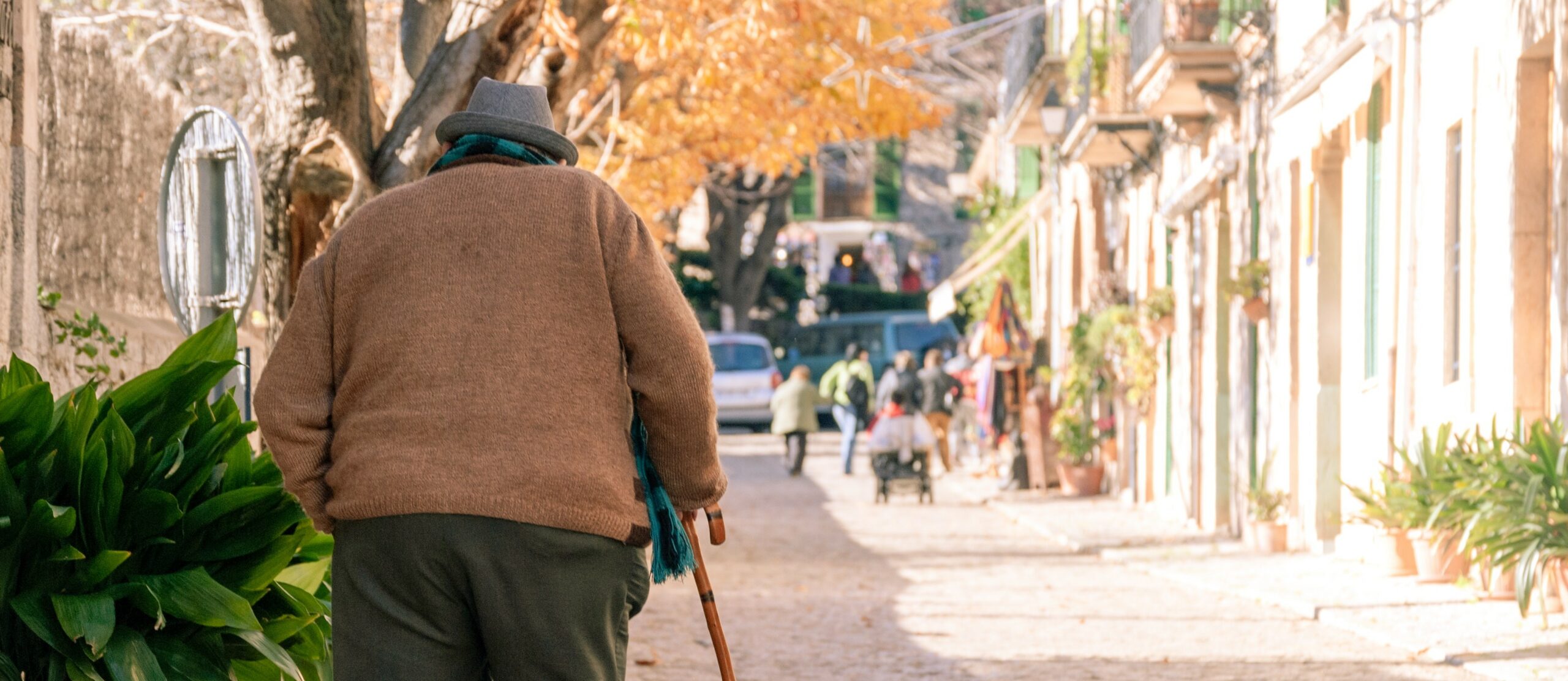Conversatorio «Salud Mental: Actualización en personas mayores de la provincia de Chiloé»