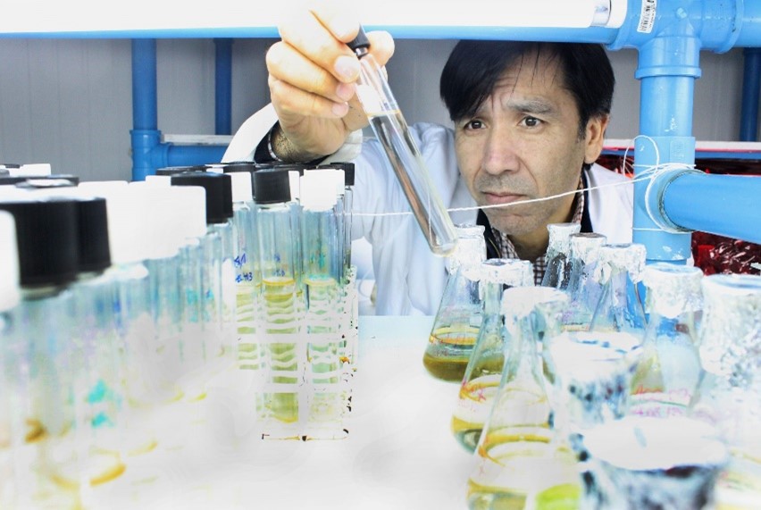 Se acredita por 5 años el Doctorado en Ciencias                                                                               mención Conservación y Manejo de Recursos Naturales, del Campus Puerto Montt de la Universidad de Los Lagos