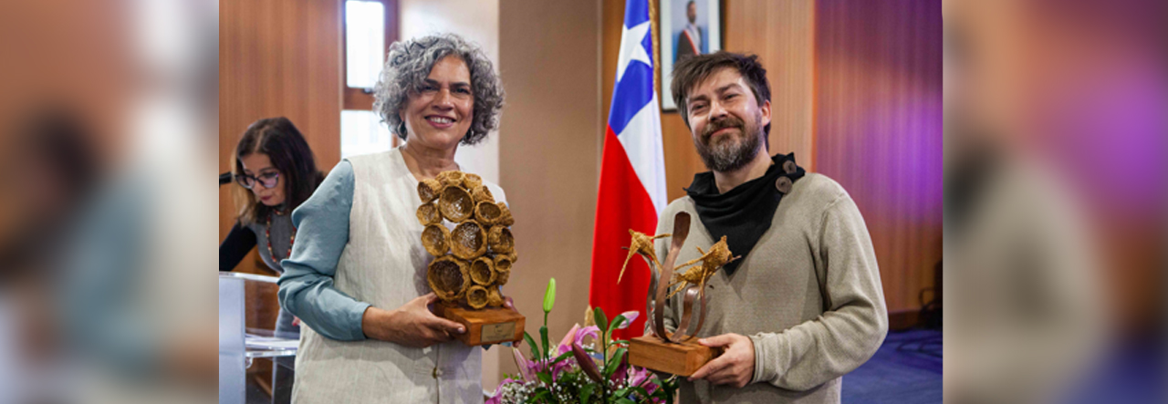 Académicos ULagos reciben Premio Regional de Arte