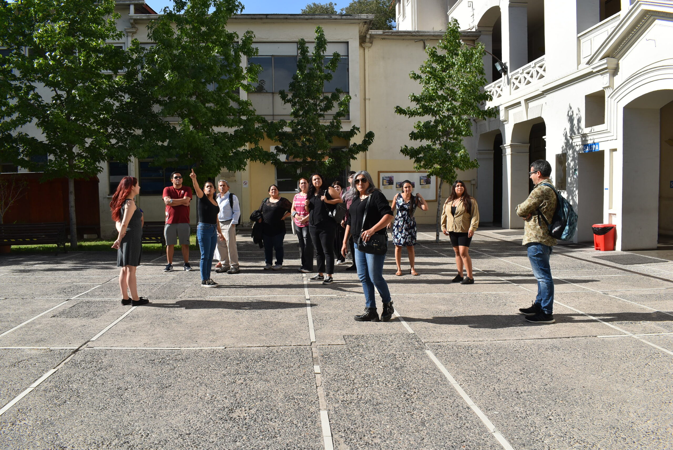 Universidad de Los Lagos