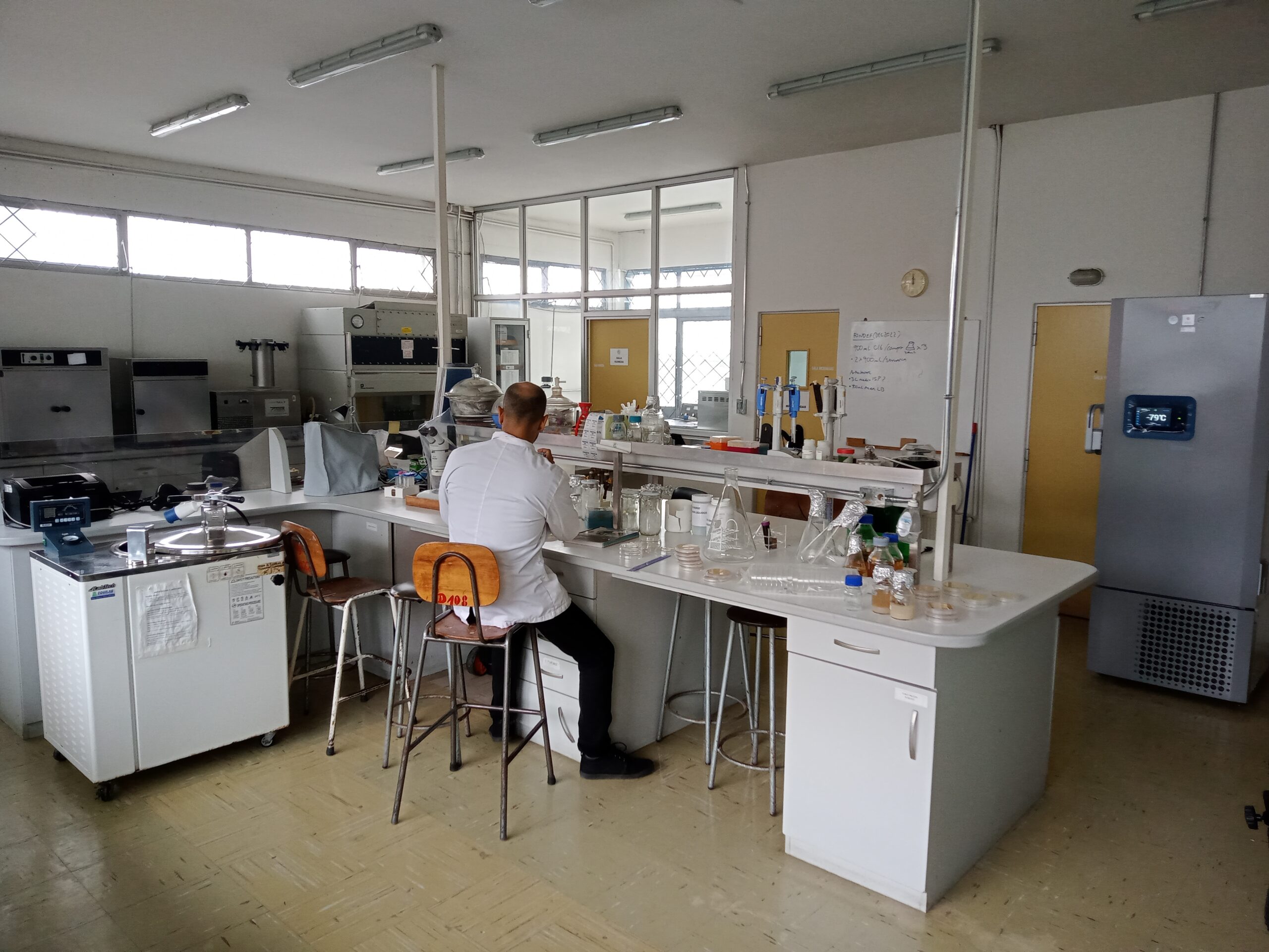 Universidades del sur de Chile invitan a seminario sobre Ciencia Abierta