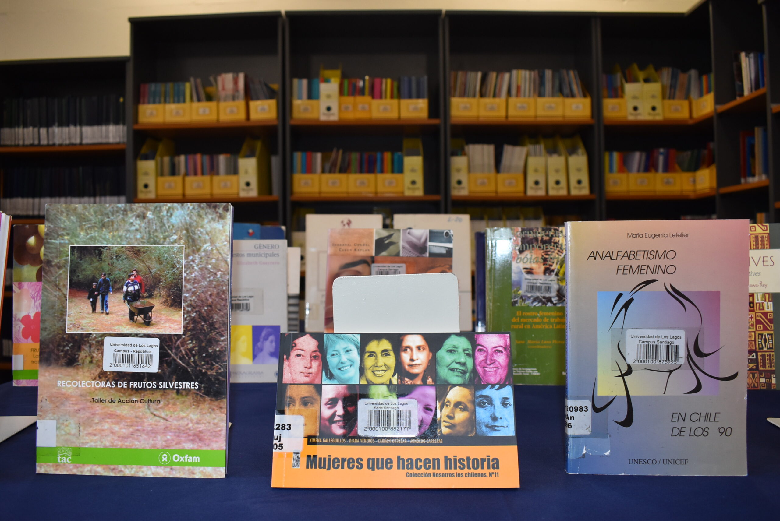 Biblioteca Sede Santiago expone libros feministas en el marco del #8M