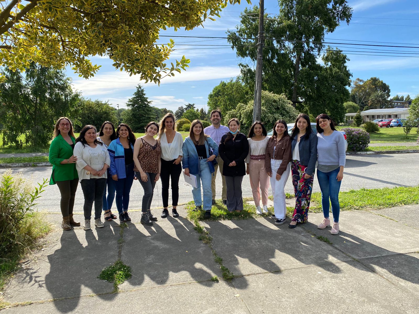 Funcionarios y funcionarias ULagos se capacitan en curso de Gestores de Inclusión