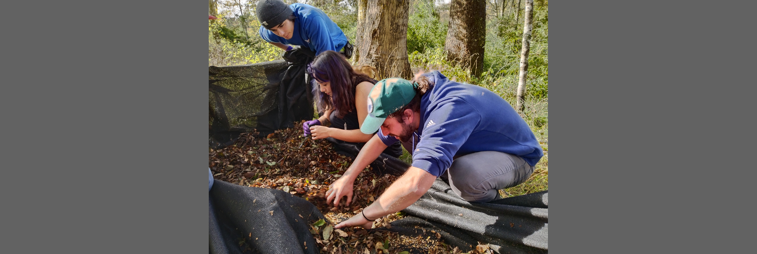 Estudiantes participaron de taller de restauración del bosque nativo en Hueyusca
