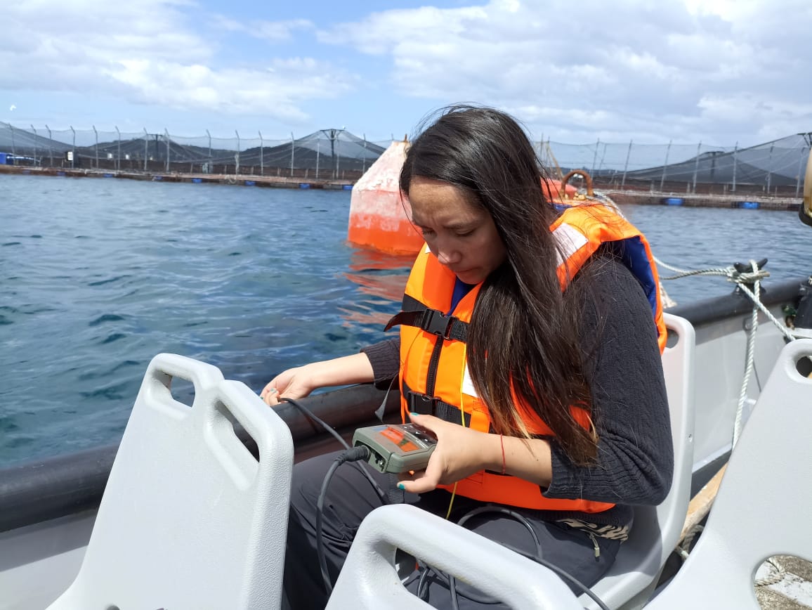 Innovadoras investigaciones en conservación y recursos naturales aportan valor al territorio