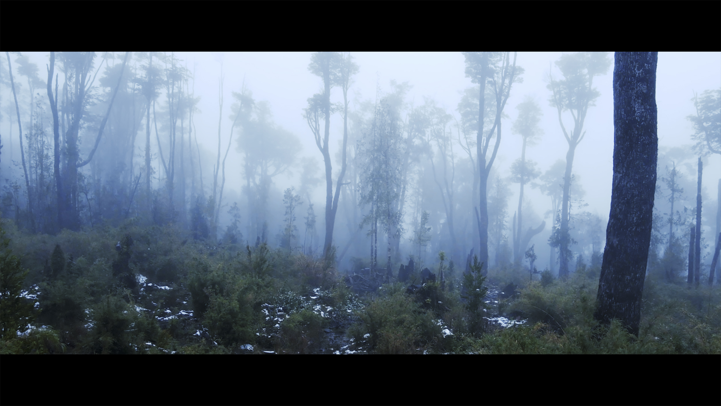 Fragmentos Insulares II: documental retrata las crisis que tiene Chiloé en su diversidad biocultural