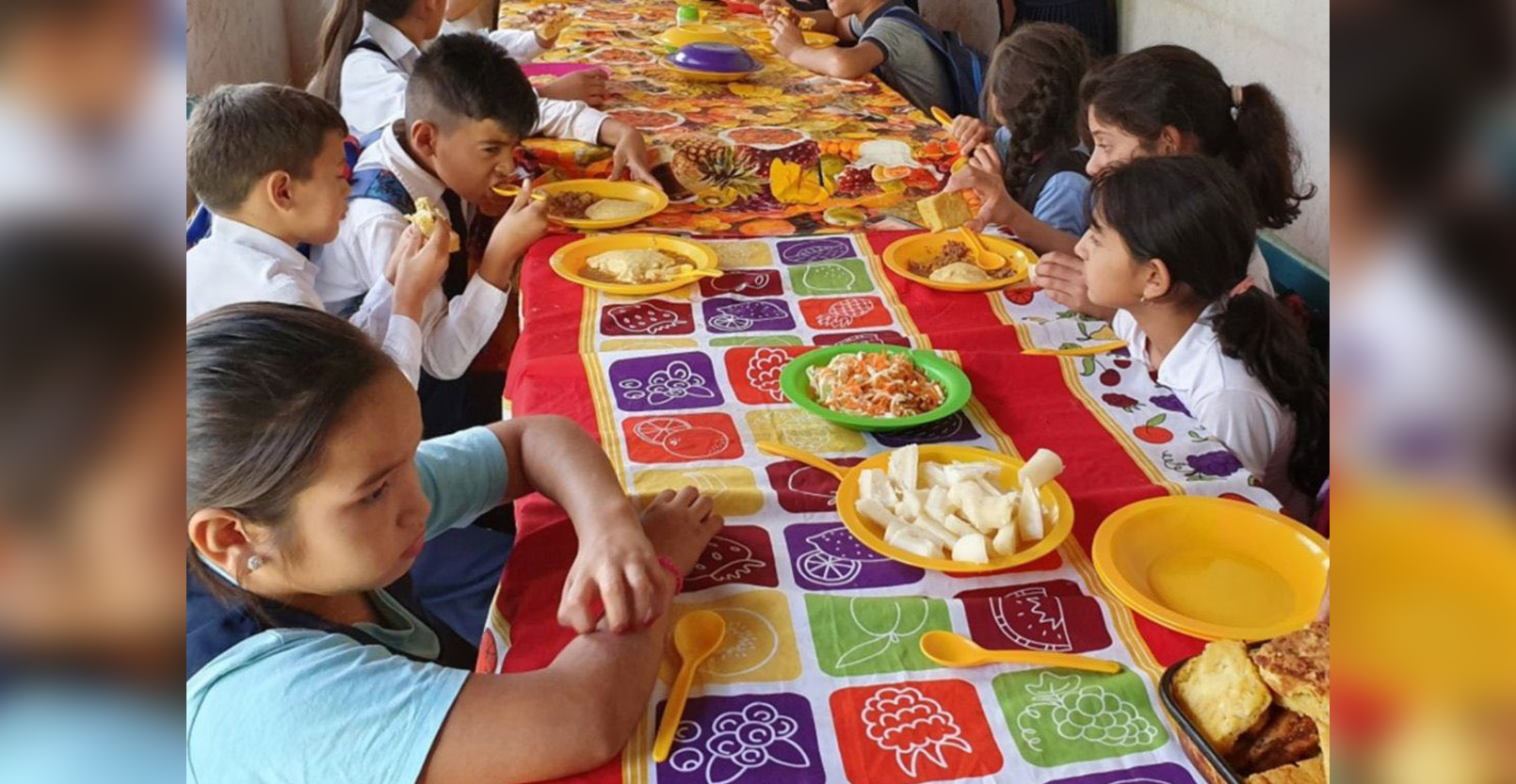 Artículo explica influencia de nivel socioeconómico en tasas de obesidad infantil