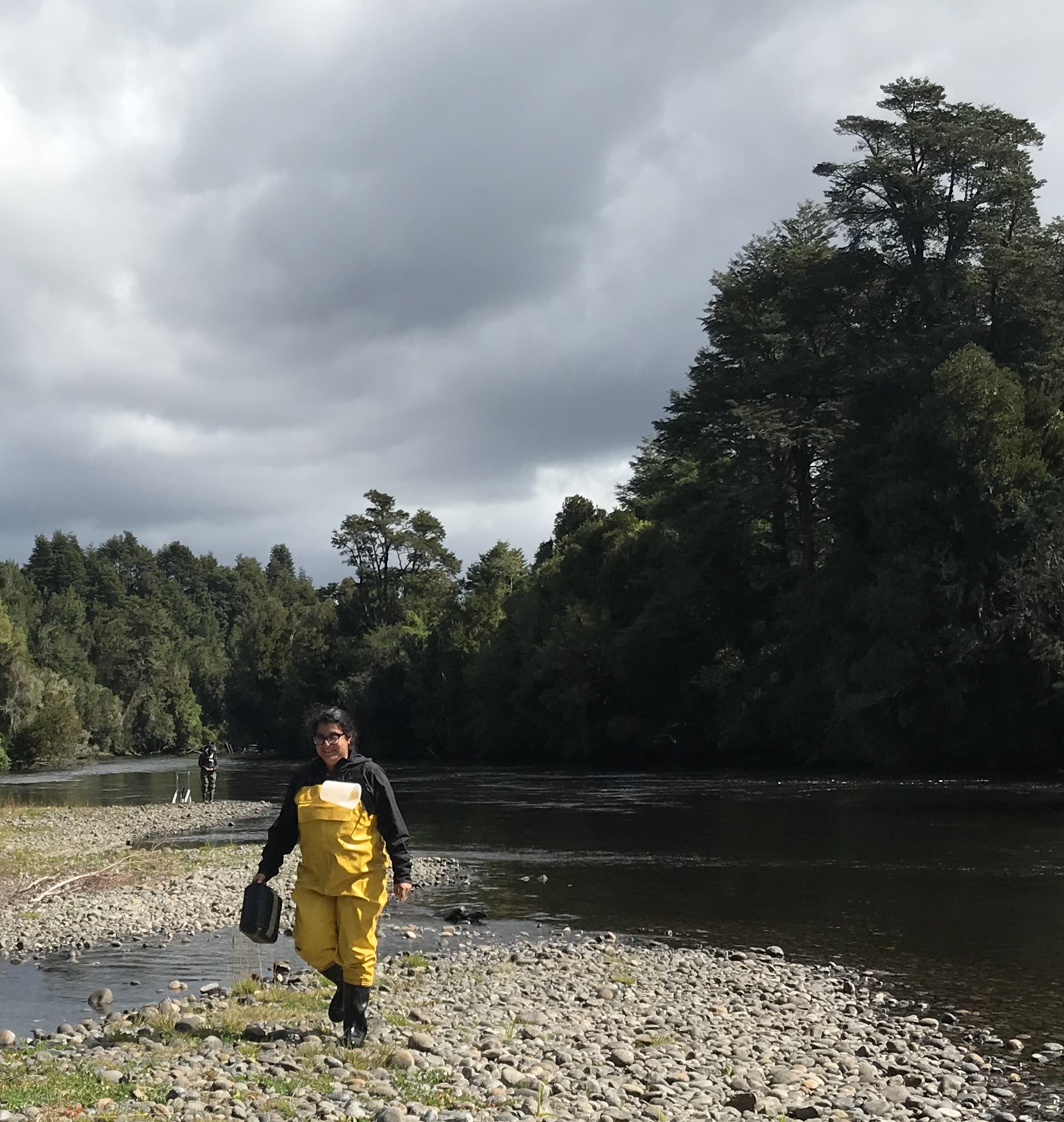 Investigadora ULagos presentará Guía para la Educación Ambiental del río Maullín