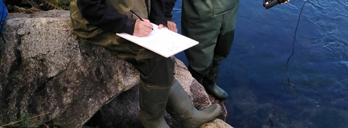Investigadora ULagos presentará Guía para la Educación Ambiental del río Maullin