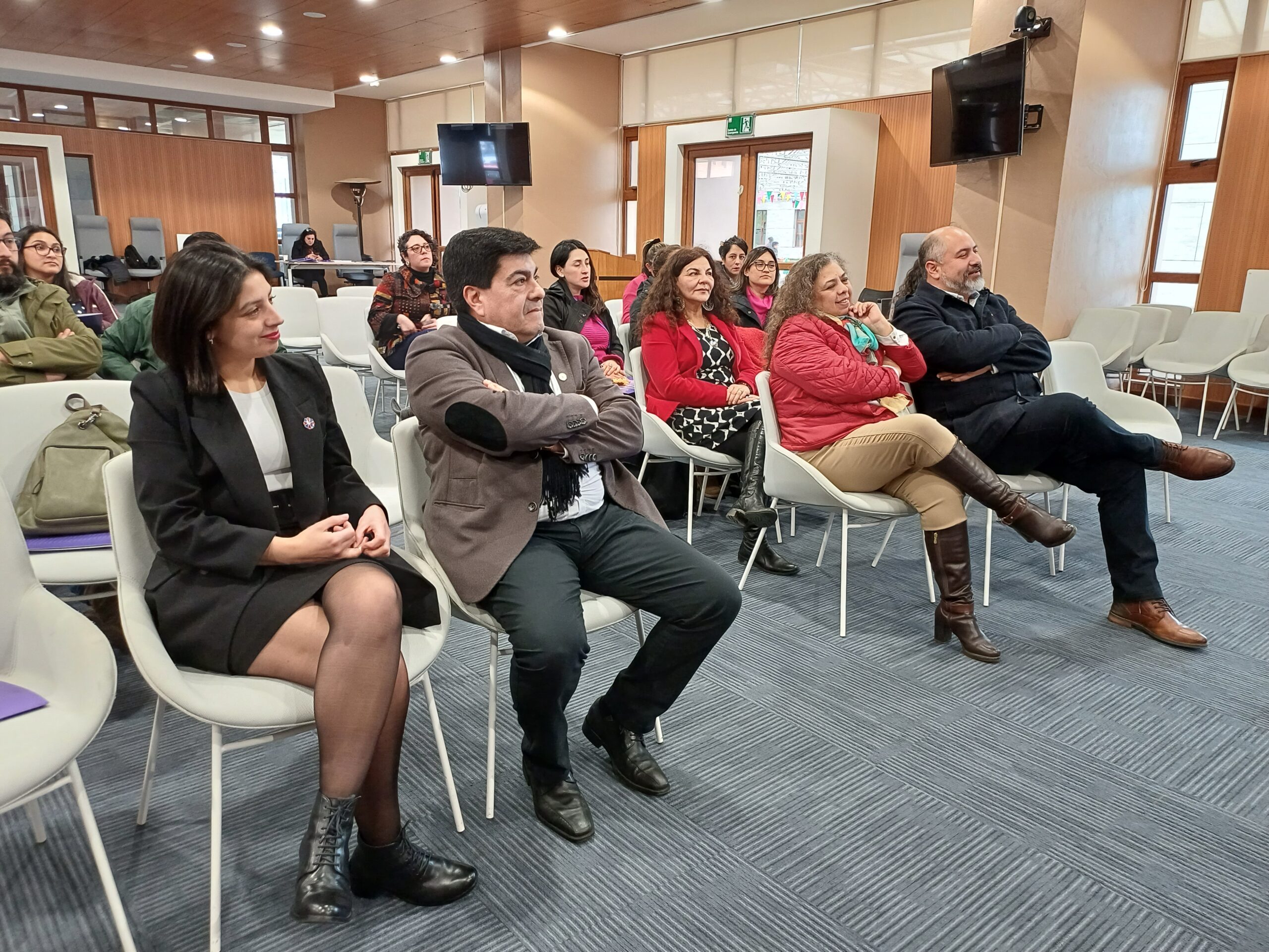 ULagos capacita a municipios de la región en perspectiva de género