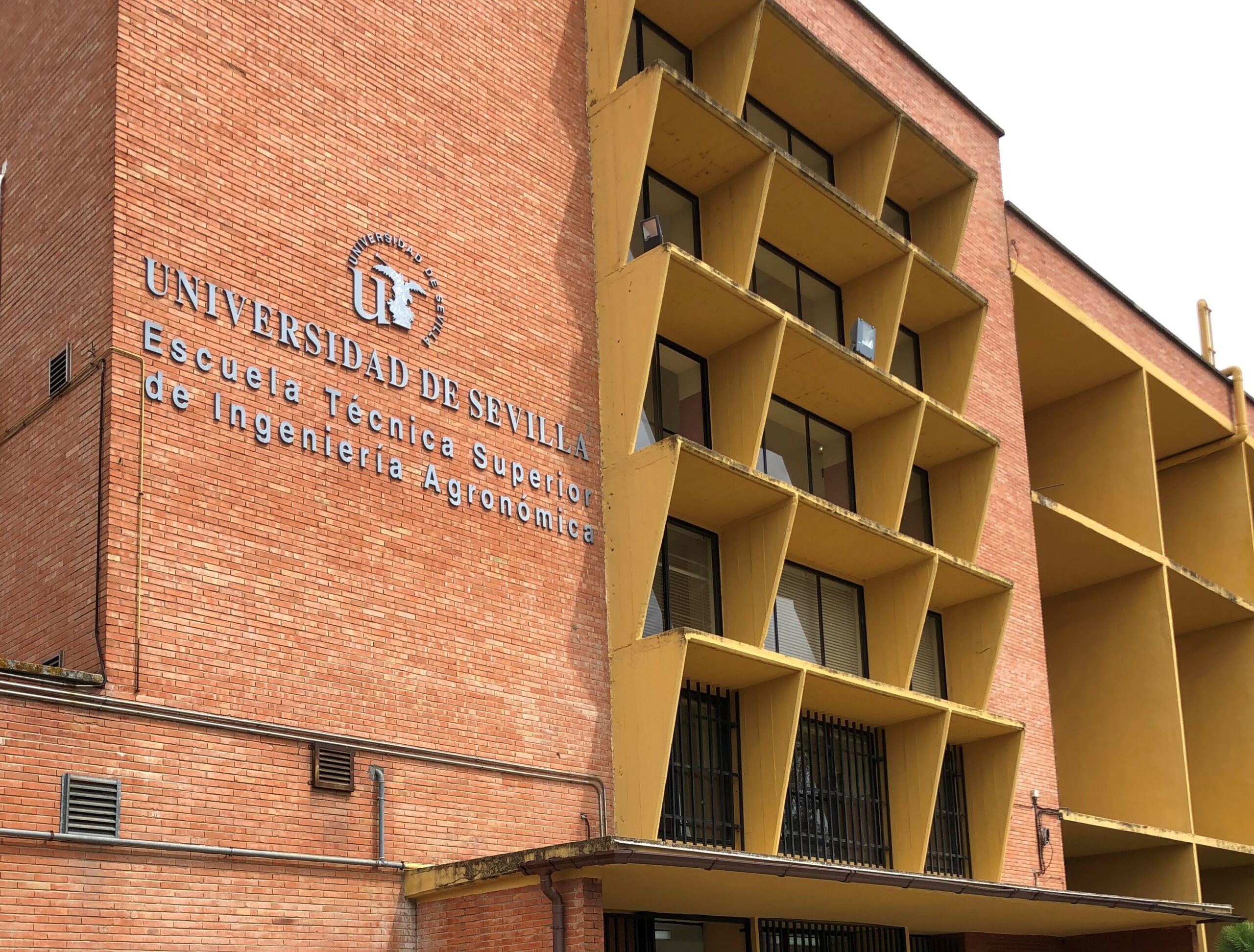 Estudiante ULagos realizó movilidad Internacional en Universidad de Sevilla