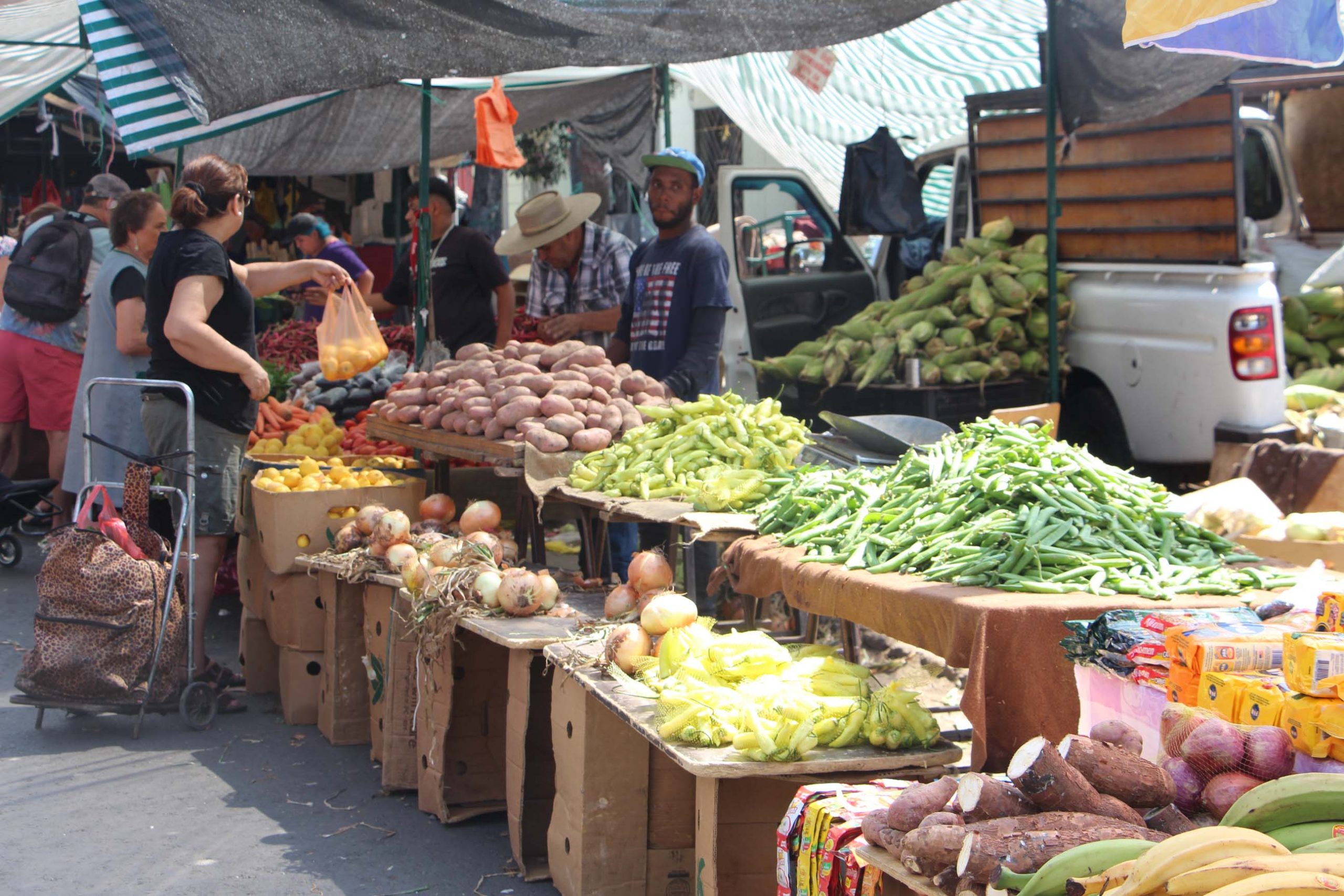 Exponen sobre estrategias para asegurar el funcionamiento de los sistemas alimentarios locales