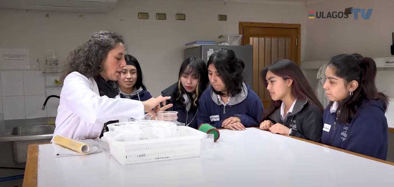 STEM Sígueme finaliza ciclo de encuentros con investigadoras del Centro i~mar