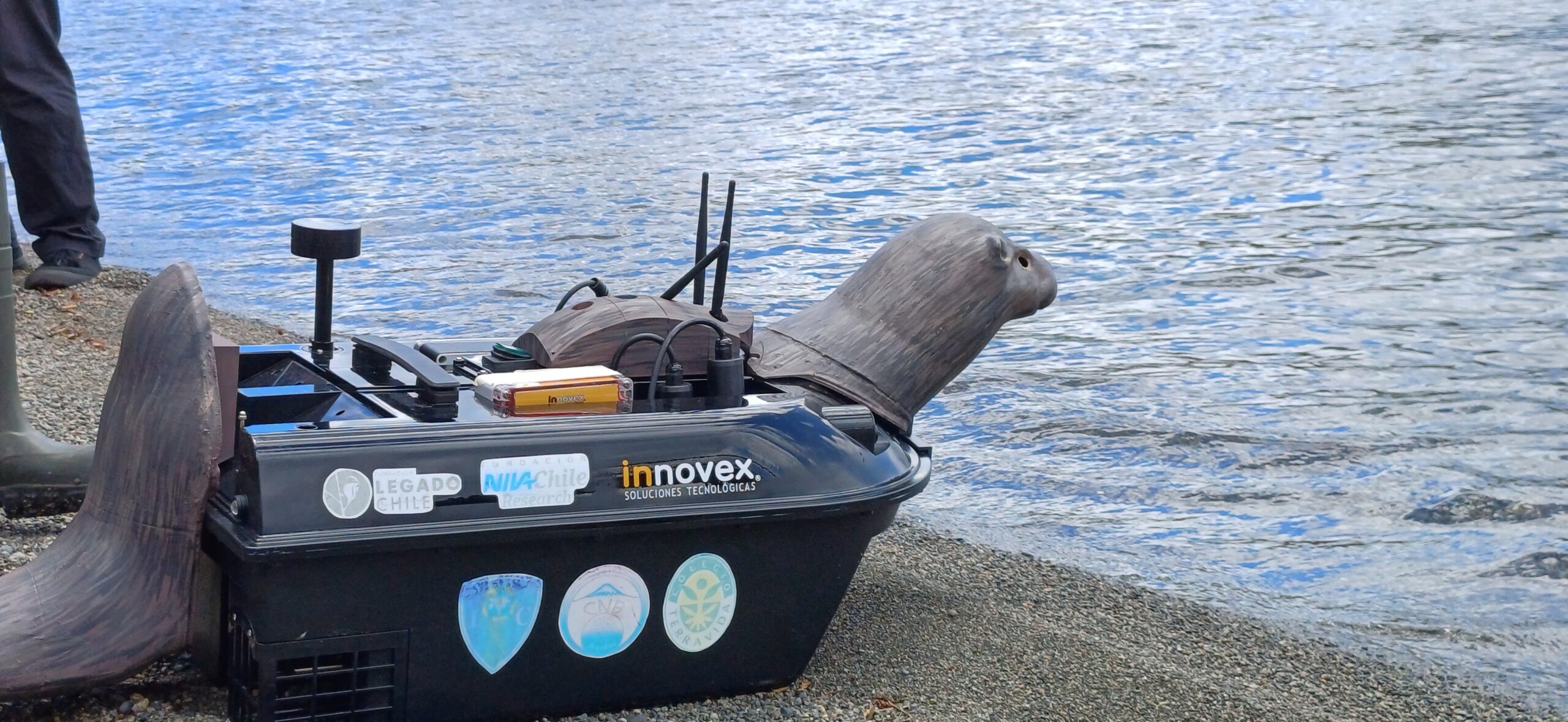 Huillín Guardián se inauguró en las aguas del Lago Llanquihue