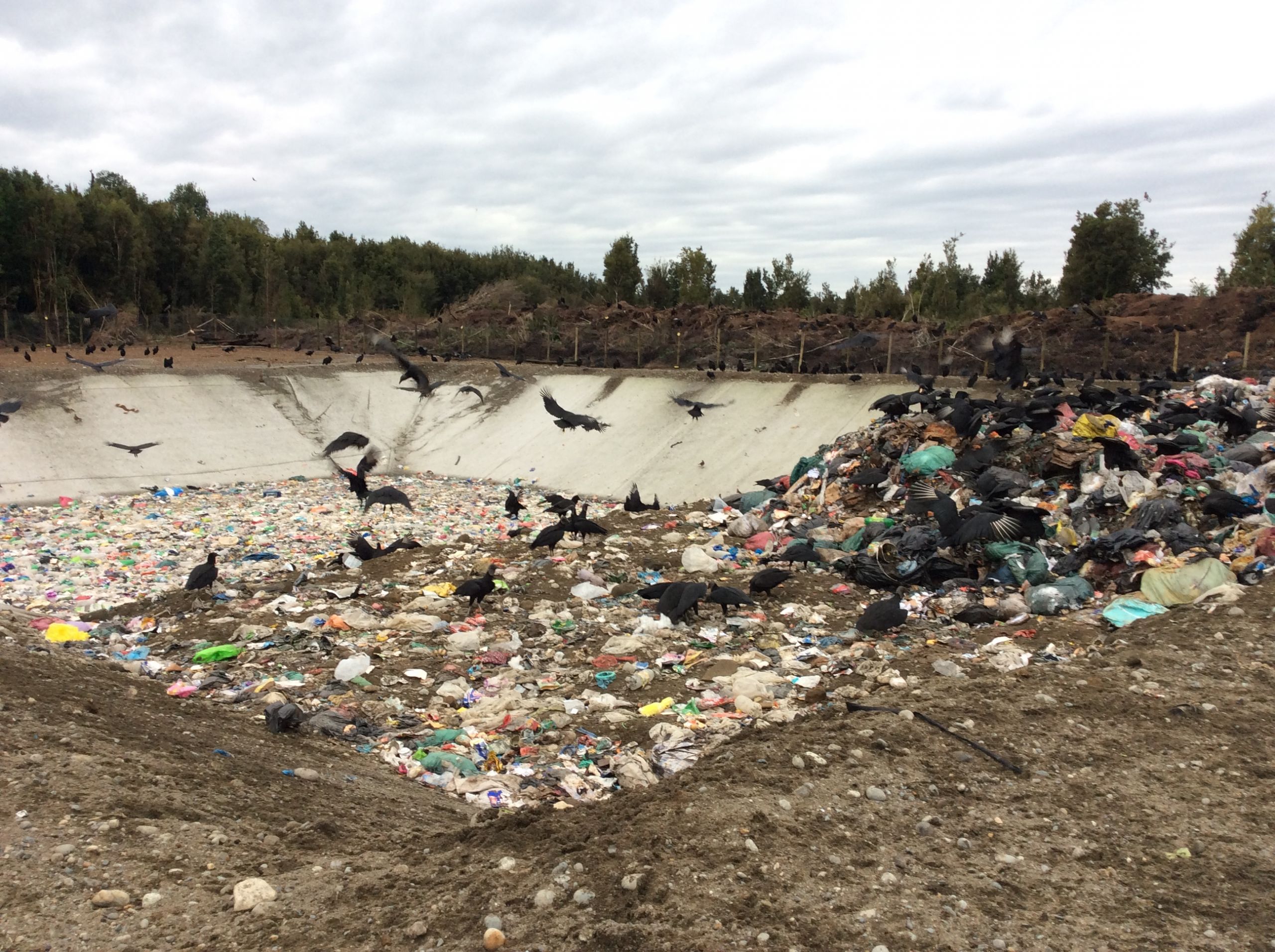 Artículo identifica potenciales sitios para rellenos sanitarios en la Isla de Chiloé