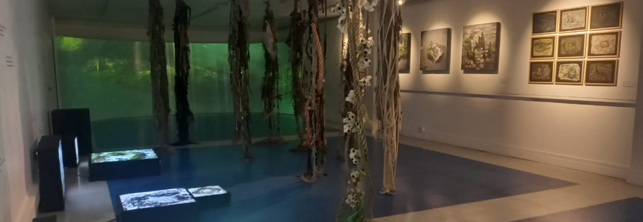 Académica ULagos presenta exposición El Respiro del Paisaje