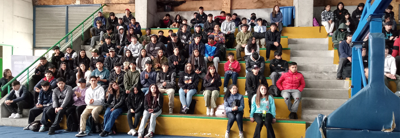 Estudiantes ULagos cuentan sus expectativas para su primer año en la educación superior