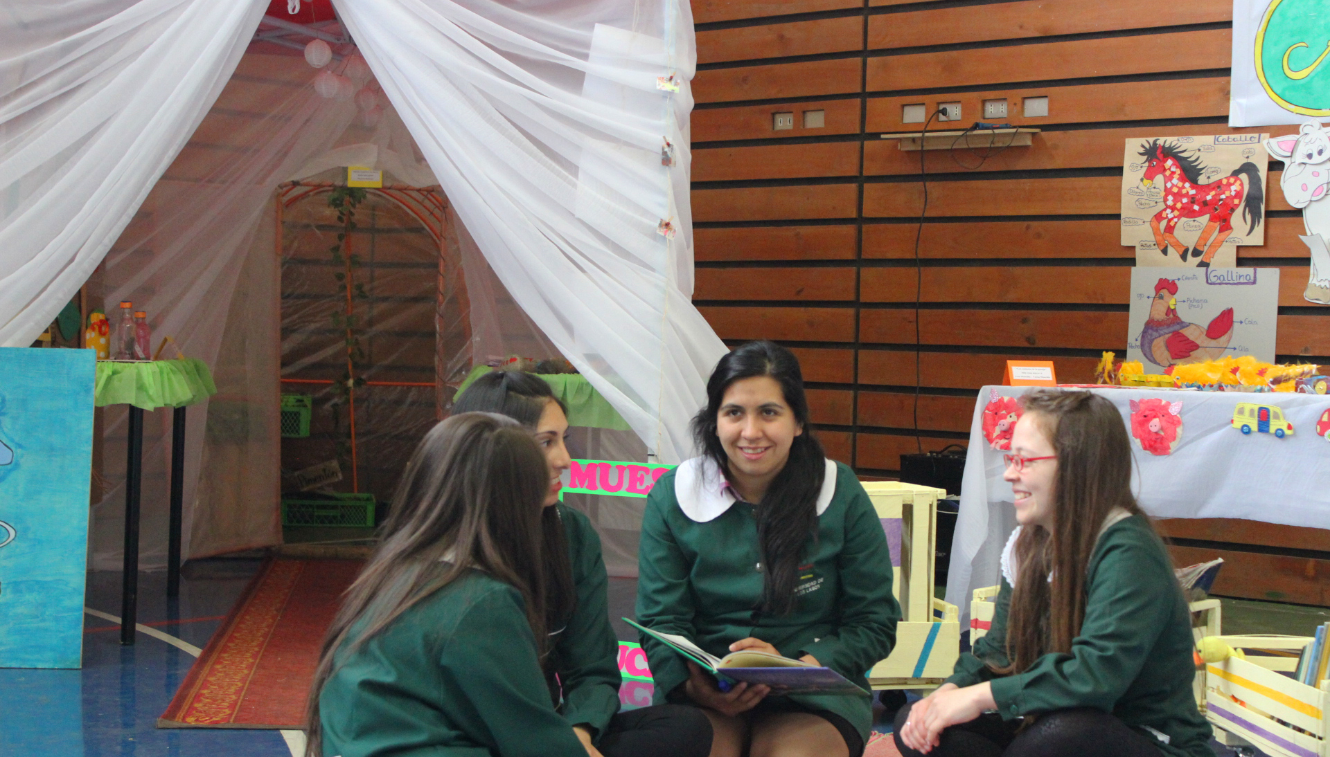 Artículo aborda problemas en las prácticas profesionales en la formación docente post pandemia