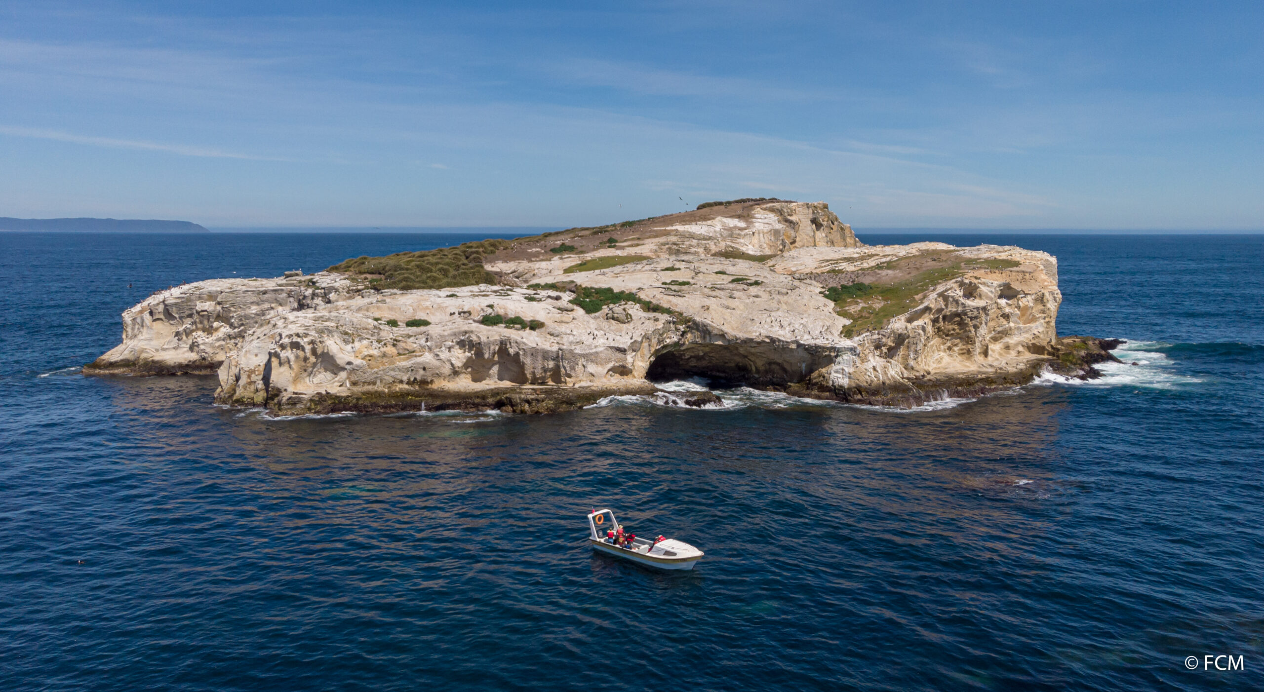 Investigadores ULagos presentan libro digital sobre aves marinas y cambio climático