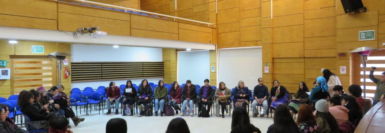 Chillkatujo ULagos, la nueva organización estudiantil mapuche de la Fütawillimapu