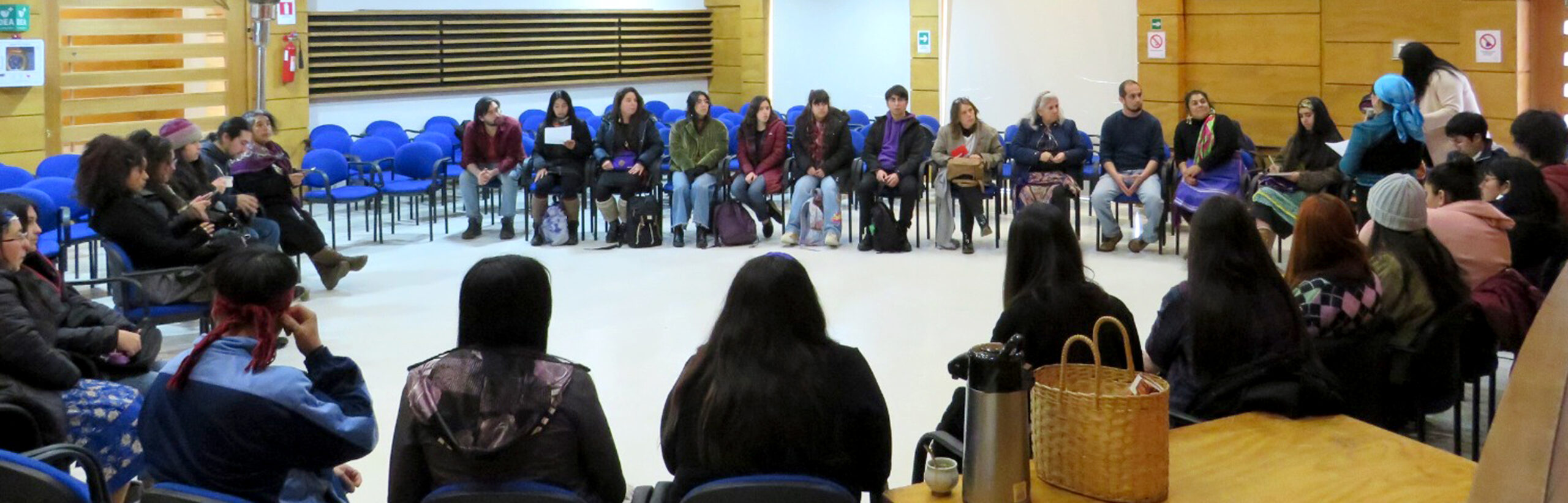 Chillkatujo ULagos, la nueva organización estudiantil mapuche de la Fütawillimapu