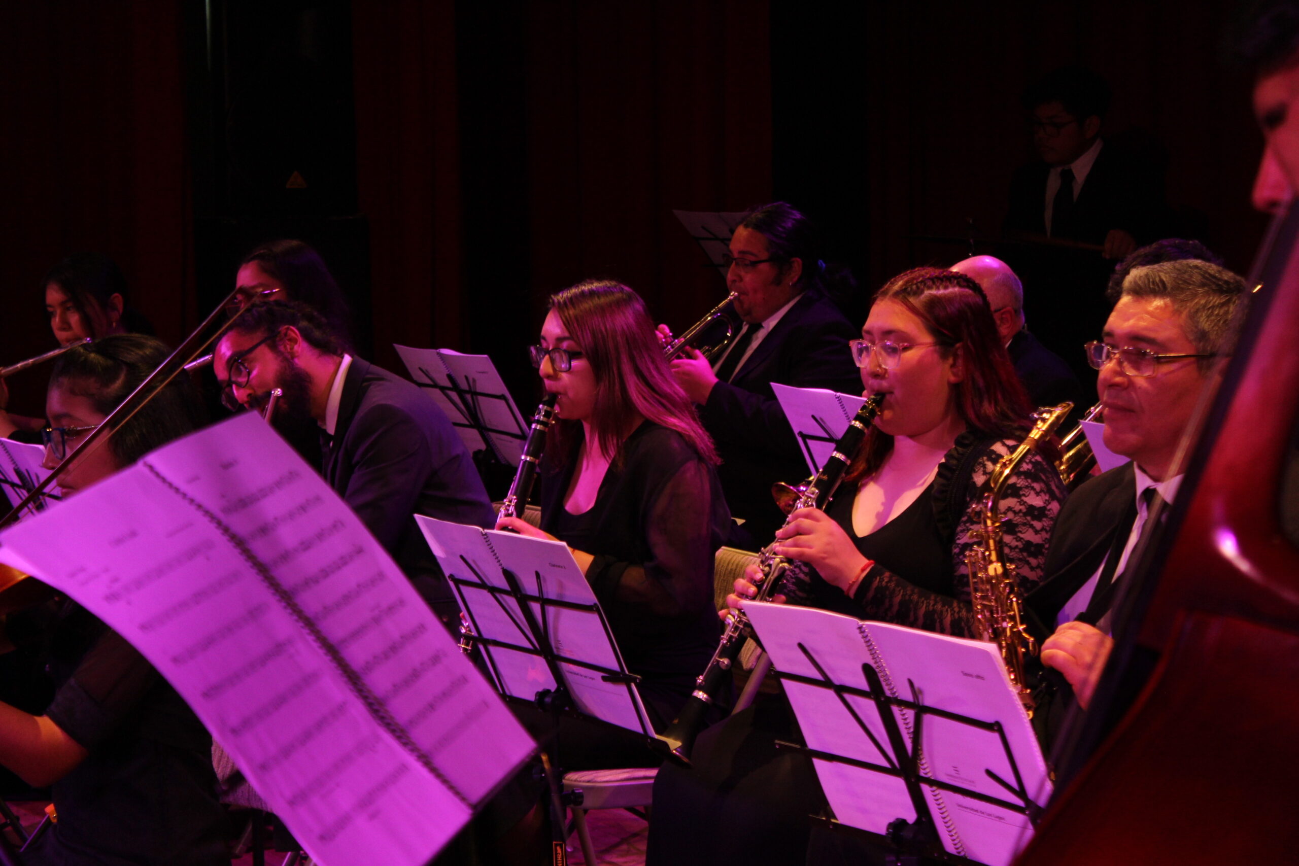 Orquesta Juvenil ULagos inicia temporada este viernes con «Alborada»